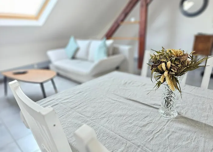 Apartment Cocooning